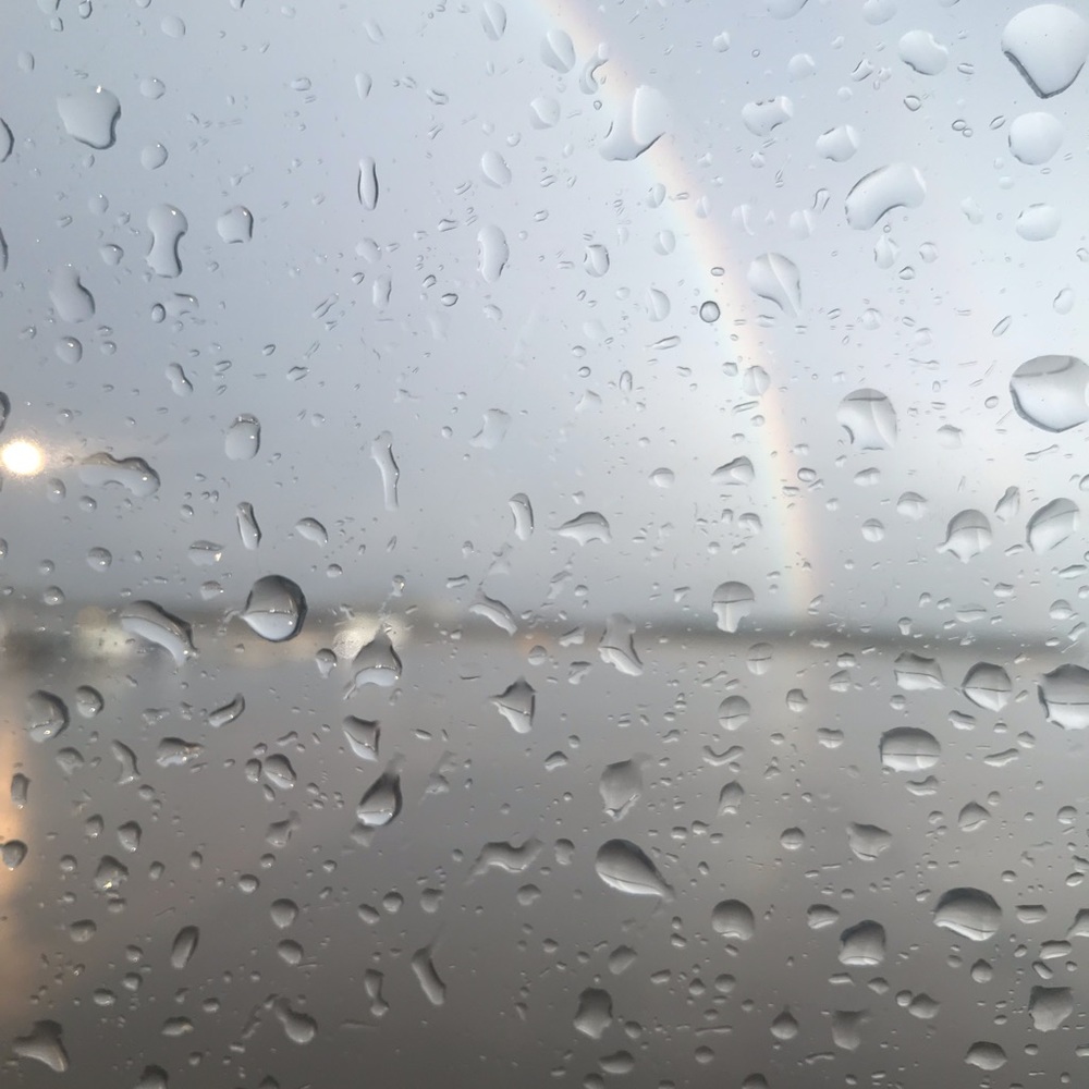 Meet your Posher, Mehrnoosh